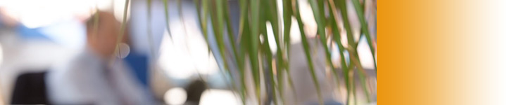 Certification ISO 9001 - P. Niklas + Fils SA